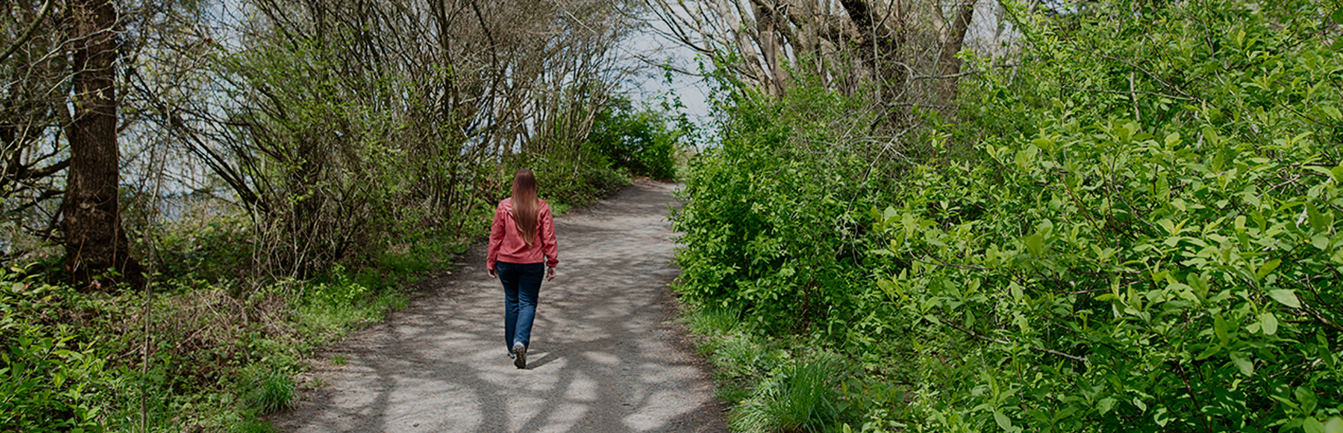 Person walking a peaceful path through nature